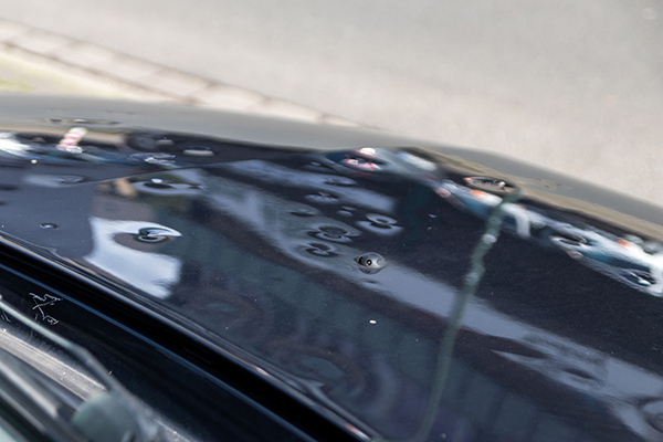 Hail Damage Repair Hail Damage Repair